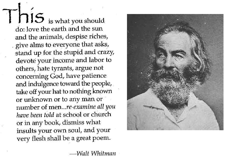 The Tenderest Lover The Erotic Poetry Of Walt Whitman